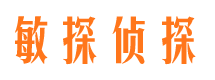 南岸侦探公司